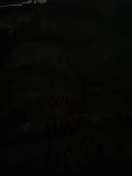 bomakrn online show from November 3, 2025, 10:38 am