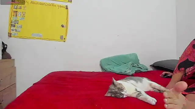 Hela wet online show from November 24, 2025, 5:34 pm