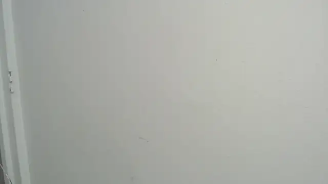 Snapshot of amy_le01 chatting on February 18, 2025, 4:37 pm amy le01 online show from February 18, 2025, 4:37 pm