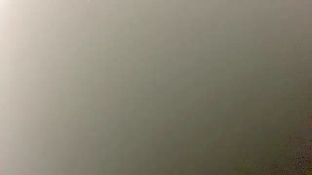 Pussy hunter225 online show from December 2, 2025, 5:30 pm