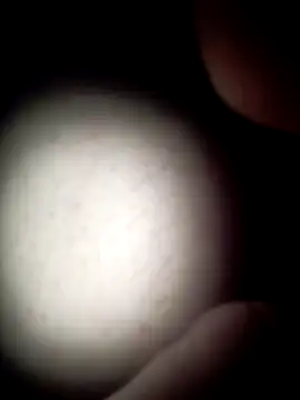 commonjust online show from November 26, 2025, 5:19 am