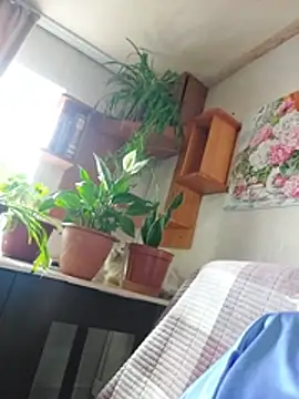 IrmaRose online show from July 18, 2026, 5:55 am
