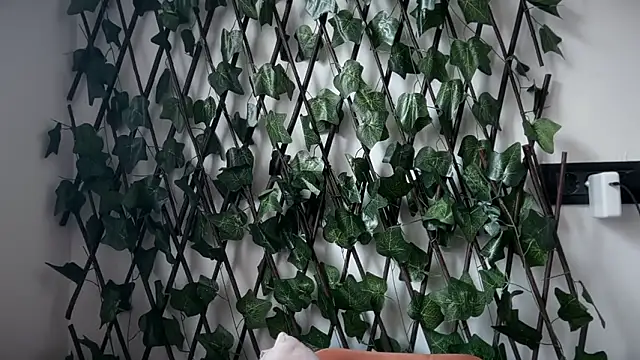 karo123421 online show from February 10, 2026, 8:29 am