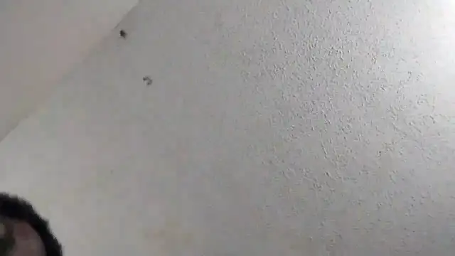 247Srokin online show from March 6, 2026, 11:01 pm