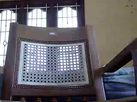 reegan889 online show from January 17, 2026, 6:29 am