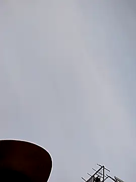 Daddy hook online show from December 11, 2024, 3:15 pm