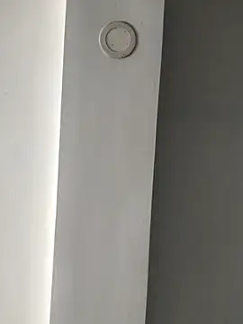 ElsecretodeBruno online show from February 18, 2025, 6:15 pm