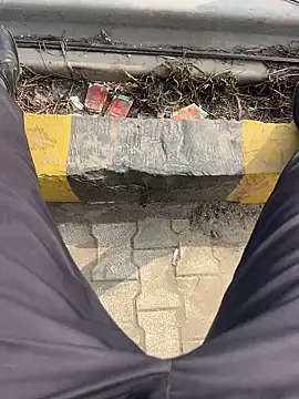 Bareilly Boy1 online show from January 18, 2025, 9:13 am