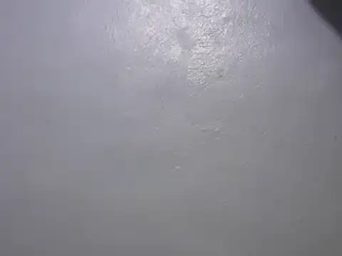 Snapshot of Forsia chatting on January 7, 2025, 3:24 am Forsia online show from January 7, 2025, 3:24 am