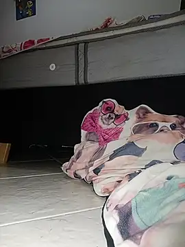 Snapshot of Van3orgasm4me chatting on February 13, 2026, 7:04 am Van3orgasm4me online show from February 13, 2026, 7:04 am