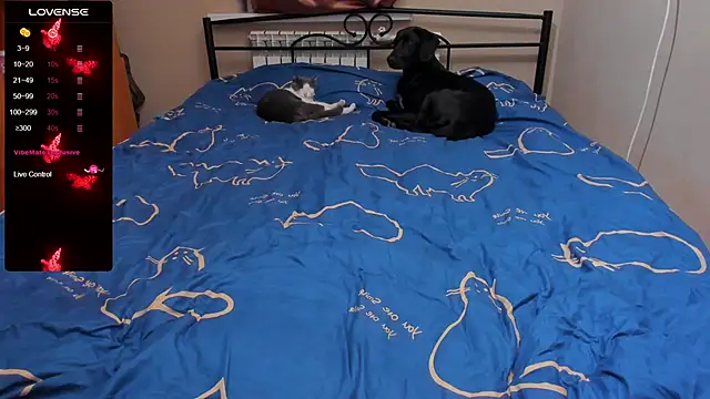 eva zero online show from October 5, 2025, 3:32 pm