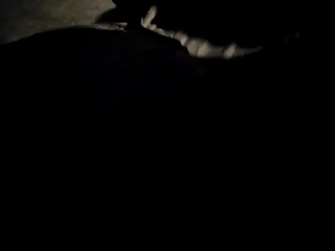 Midwest-exhibistionist online show from February 22, 2026, 6:46 am