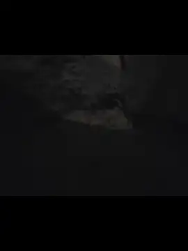 Midwest-exhibistionist online show from April 10, 2026, 9:25 am