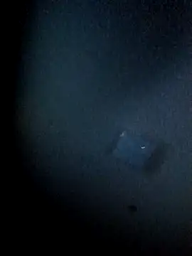 yellowwetfox online show from March 29, 2026, 3:39 am