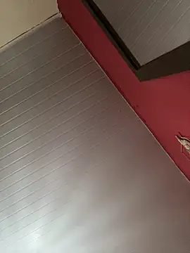 pimenta gaby online show from March 12, 2025, 10:59 am