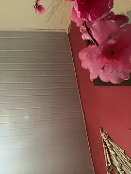 Snapshot of pimenta_gaby chatting on April 17, 2026, 3:37 pm pimenta gaby online show from April 17, 2026, 3:37 pm