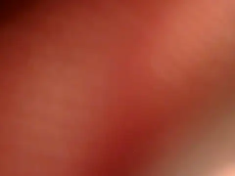 SiaraSiyA online show from April 25, 2026, 5:32 pm