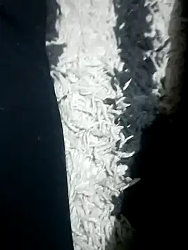 nursenight online show from March 23, 2026, 10:14 pm