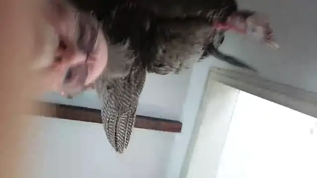 CDforU online show from February 4, 2026, 5:52 pm