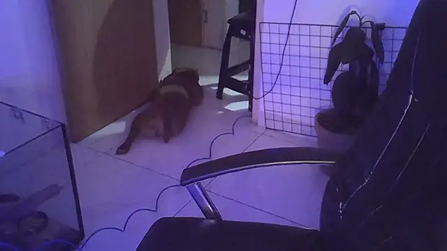 Snapshot of myamillor chatting on December 14, 2024, 1:17 am myamillor online show from December 14, 2024, 1:17 am