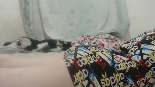 Kittywhiteass online show from March 16, 2025, 11:57 pm