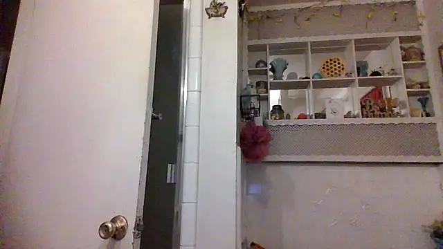 Snapshot of ClumsyLink chatting on October 26, 2025, 3:56 am ClumsyLink online show from October 26, 2025, 3:56 am