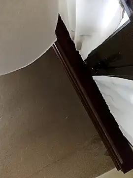 Snapshot of White_rabbit_ chatting on December 11, 2024, 4:53 pm White rabbit  online show from December 11, 2024, 4:53 pm