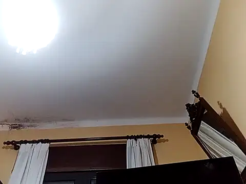 Snapshot of White_rabbit_ chatting on February 27, 2025, 9:14 pm White rabbit  online show from February 27, 2025, 9:14 pm