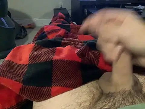 northcock87 online show from December 19, 2024, 2:56 am