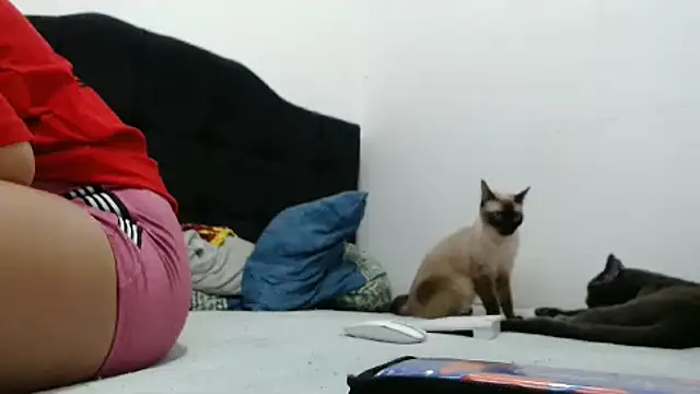 Snapshot of Emmily_Fox chatting on December 2, 2024, 10:23 pm Emmily Fox online show from December 2, 2024, 10:23 pm