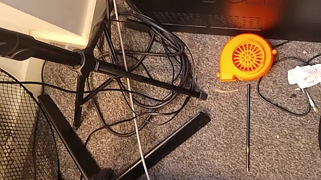 uk-bobbie-uk online show from November 26, 2025, 1:28 am