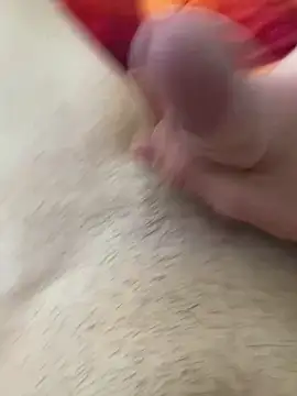 Pascutt online show from February 26, 2026, 2:49 pm