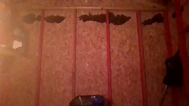 prettyboytatted69 online show from April 9, 2026, 7:03 am