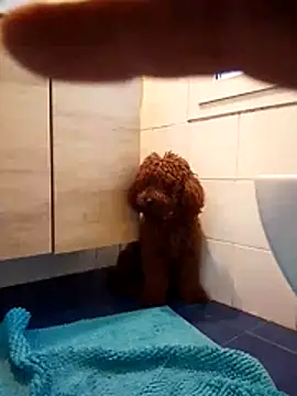 ValentinoRollstars online show from March 18, 2026, 4:43 pm