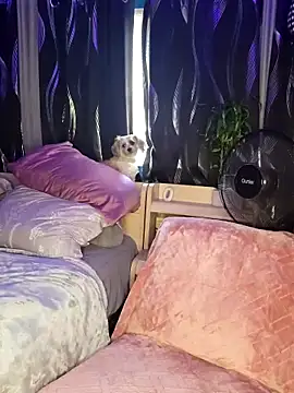 SexyNikki6969 online show from March 31, 2026, 9:59 pm