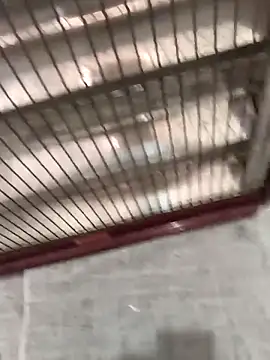 mustican422 online show from October 25, 2025, 11:07 am