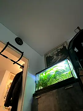 Toyjungee online show from September 23, 2025, 3:37 pm