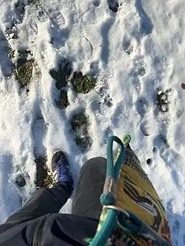 Mrbighardcock online show from January 14, 2026, 10:21 am