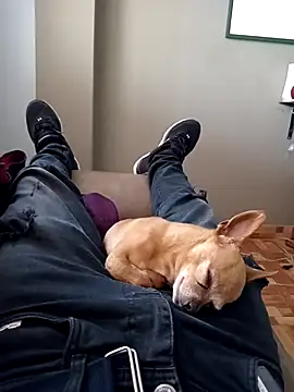 Snapshot of Jeanka18z chatting on October 23, 2025, 5:33 pm Jeanka18z online show from October 23, 2025, 5:33 pm