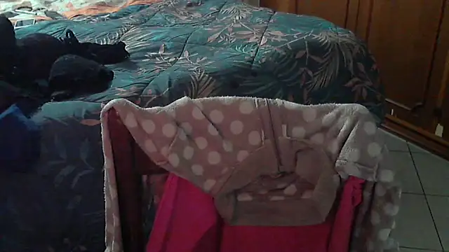 Snapshot of stellin chatting on February 17, 2026, 4:57 pm stellin online show from February 17, 2026, 4:57 pm