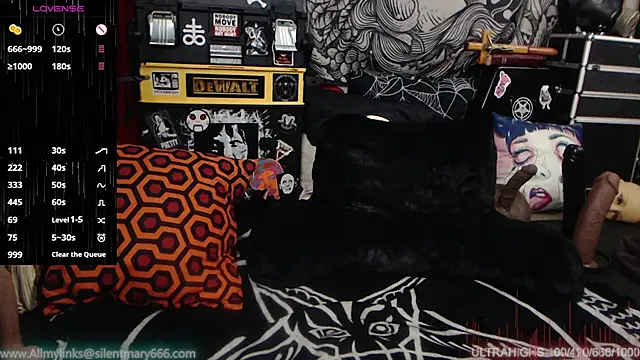 Silentmary online show from December 28, 2024, 7:43 pm