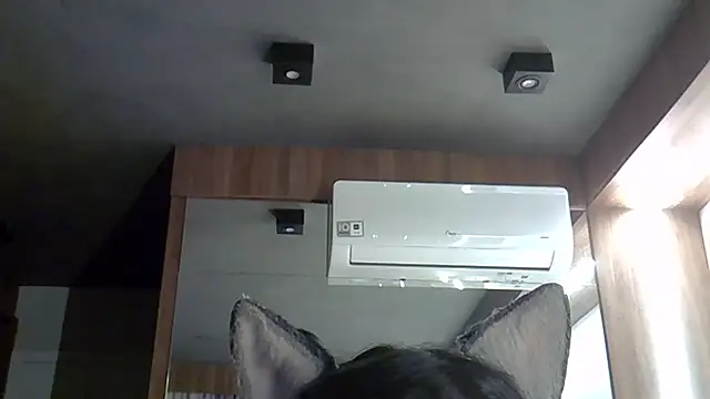 Skinny-Kitten online show from September 30, 2025, 9:31 pm