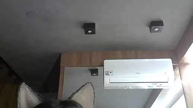 Skinny-Kitten online show from November 13, 2025, 2:32 am