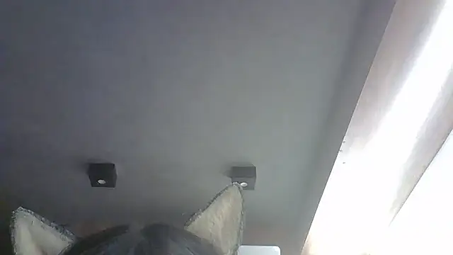 Snapshot of Skinny-Kitten chatting on January 19, 2026, 7:23 am Skinny-Kitten online show from January 19, 2026, 7:23 am