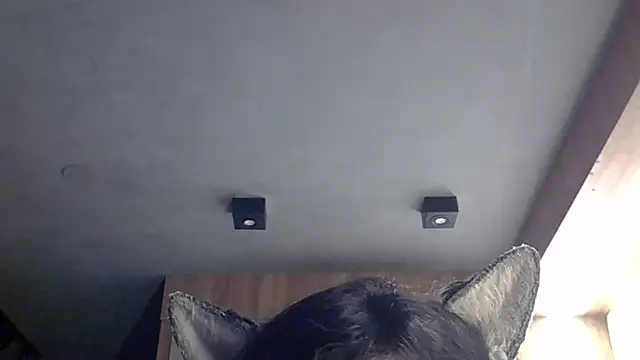 Snapshot of Skinny-Kitten chatting on February 4, 2026, 11:53 pm Skinny-Kitten online show from February 4, 2026, 11:53 pm