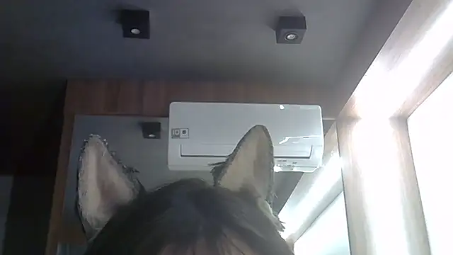 Snapshot of Skinny-Kitten chatting on February 5, 2026, 9:41 pm Skinny-Kitten online show from February 5, 2026, 9:41 pm