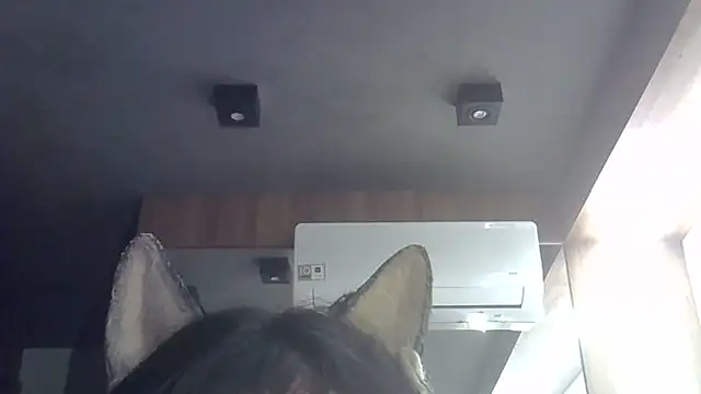 Snapshot of Skinny-Kitten chatting on February 11, 2026, 11:21 pm Skinny-Kitten online show from February 11, 2026, 11:21 pm