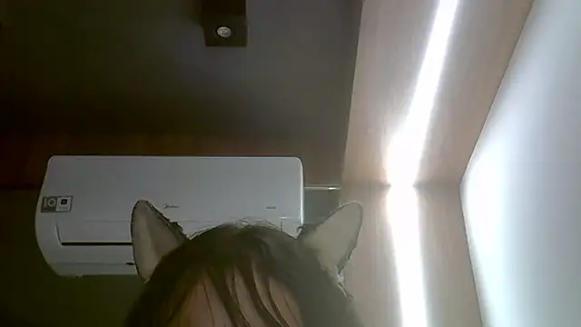 Snapshot of Skinny-Kitten chatting on February 13, 2026, 1:34 am Skinny-Kitten online show from February 13, 2026, 1:34 am