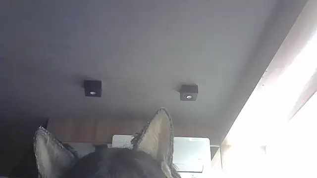 Snapshot of Skinny-Kitten chatting on February 14, 2026, 2:03 pm Skinny-Kitten online show from February 14, 2026, 2:03 pm