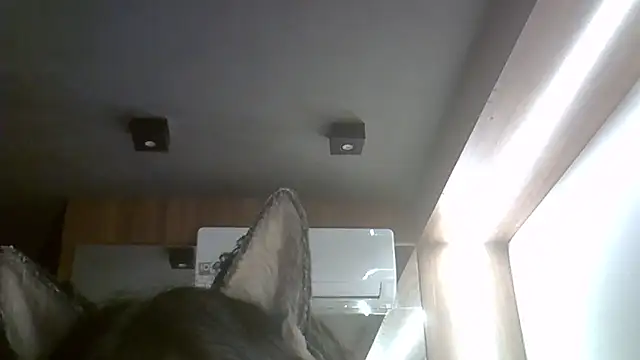 Snapshot of Skinny-Kitten chatting on February 15, 2026, 2:19 am Skinny-Kitten online show from February 15, 2026, 2:19 am